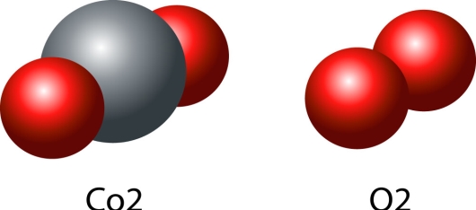 Molecules of carbon dioxide and oxygen Royalty Free Vector